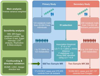 Association between blood metabolites and basal cell carcinoma risk: a two-sample Mendelian randomization study